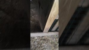 я пошла осматривать улицы😱😱😱
