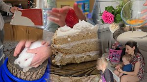 Купили кроликов 🐇 У родителей весело 🥳 Тортик, клубника 🍓 Пригласили на день рождения 🎉