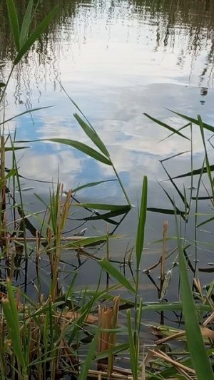 я на рыбалке🐟🐠