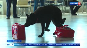 «Вести. Сахалин. Курилы». 18 июня 2026 года