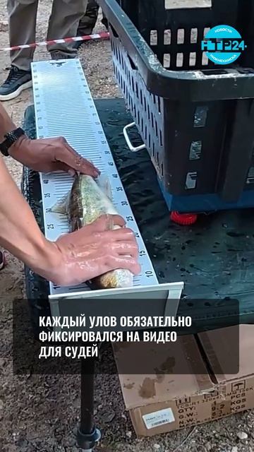 Поймал, взвесил, отпустил: на Каме определили лучших спиннингистов Татарстана