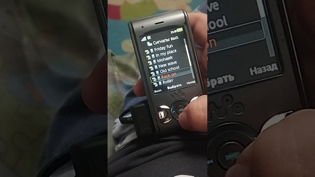 рингтоны и звук сообщения телефона Sony Ericsson W595 2008 г.