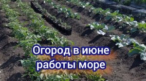 Планы на день. На улице пекло, но работу никто не отменял.