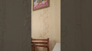 Кушаем
