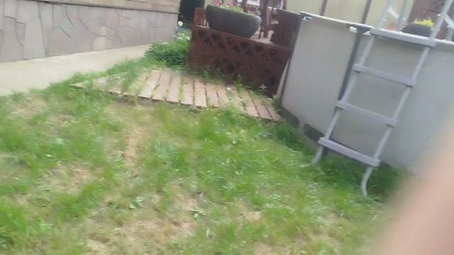 Диско новости Холодного от Garnier смотреть онлайн