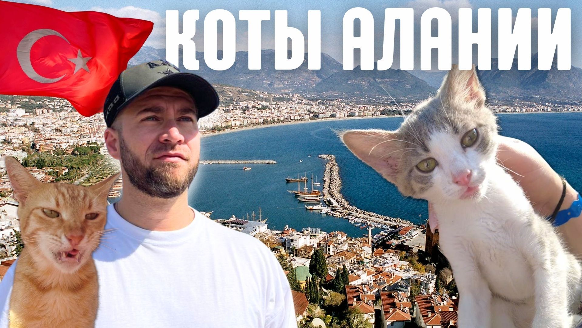 День в Алании, кормим кошек смотреть онлайн