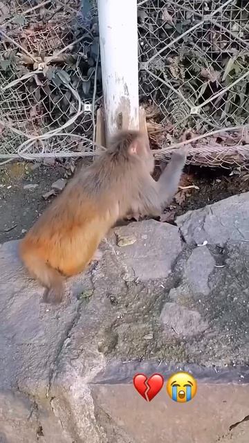 Роковая ошибка