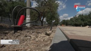 В Волгограде появится первая площадка для выгула питомцев