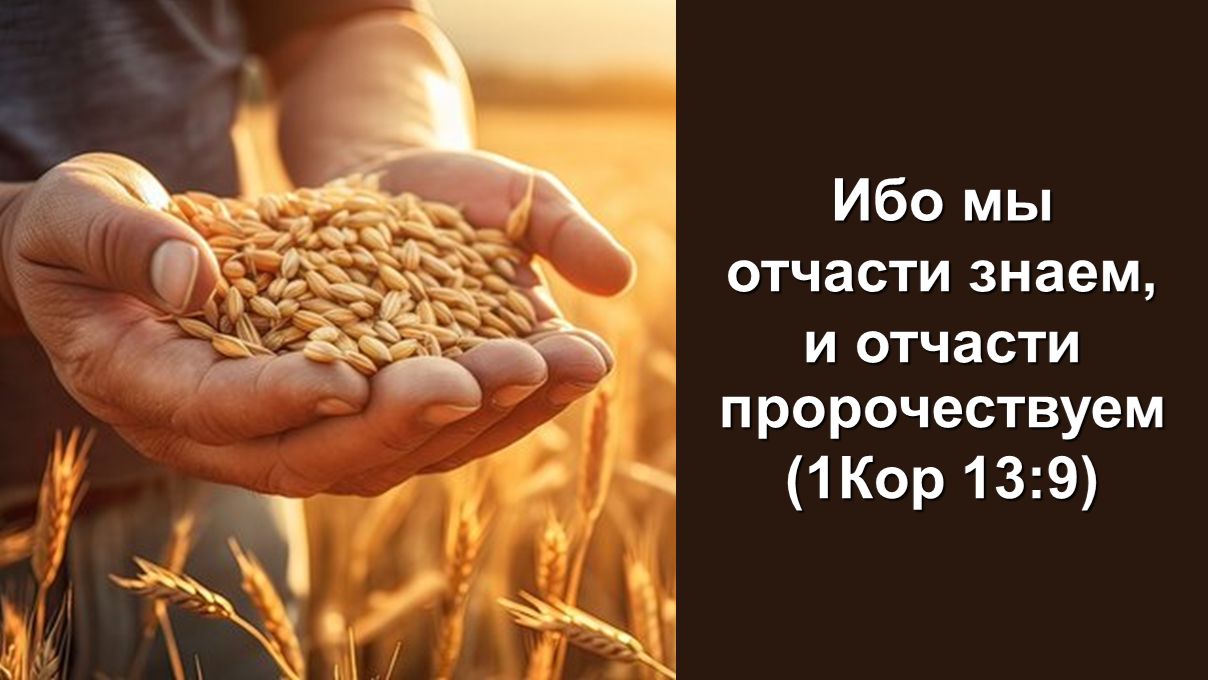 Ибо мы отчасти знаем, и отчасти пророчествуем (1Кор 13:9) смотреть онлайн