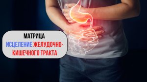 Матрица для исцеления и здоровья кишечника!