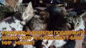 УВАЖАЕМЫЕ ЗРИТЕЛИ 1 ПОДДЕРЖИТЕ КОШЕК: 2200 7016 9536 2563 T БАНК МИР МИХАИЛ