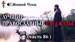 МУЖ ЗАМАХНУЛСЯ МОЛОТКОМ, НЕ УЗНАВАЯ ЖЕНУ... ЛУЧШИЕ ПРАВОСЛАВНЫЕ РАССКАЗЫ часть 86