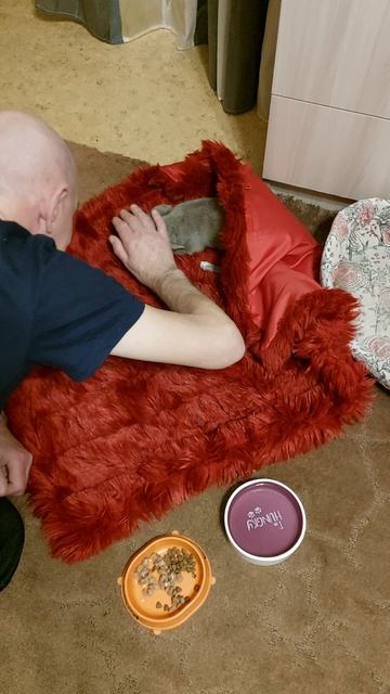 Первый день дома🐶😊♥️♥️♥️