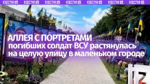 В винницком городке Гайсин аллея с портретами погибших солдат ВСУ растянулась на целую улицу