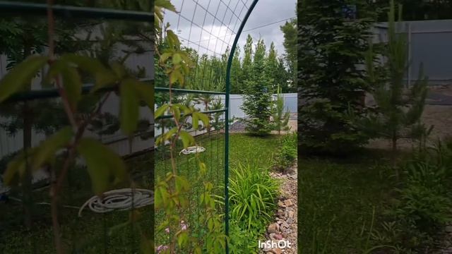 20873.mp4 смотреть онлайн