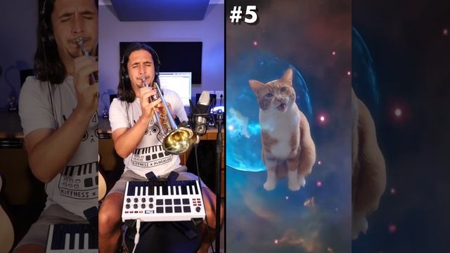 TOP 10 Cat Songs of ALL TIME (2026 UPDATE)