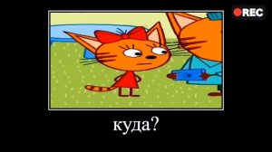 ТРИ КОТА 😹😻😾  RYTP ПОЛНАЯ РЖАКА 🤣 попробуй не засмеяться
