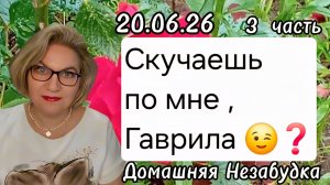 3 часть. Скучаешь  по мне ,Гаврила 🤣❓️