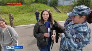 Прямое включение показательные выступления служебных собак, элементы задержания условного нарушителя