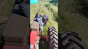 Мотоблок МТЗ,перевозка дров