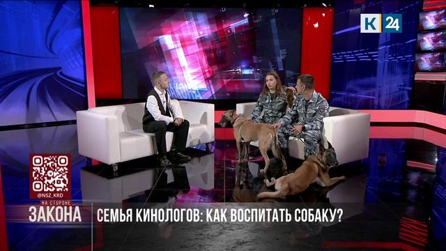 На стороне закона. 19.06.2026