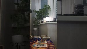 Карта дня