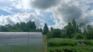 даю разрешение ‼️ Домоседу и Давилке ‼️работать на меня