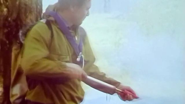 1989 год. Тюменская область. Лесной пожар