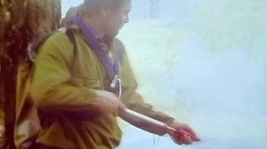 1989 год. Тюменская область. Лесной пожар