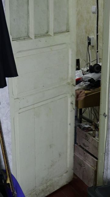 Жиза