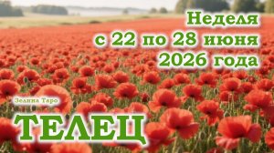 ТЕЛЕЦ | ТАРО прогноз на неделю с 22 по 28 июня 2026 года