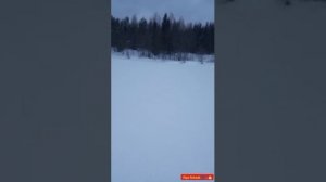 Рыбалка в глухозимье, рыбалка на жерлицы(рогатки)🎣