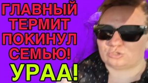 ГЛАВНЫЙ ТЕРМИТ ПОКИНУЛ СЕМЬЮ. ОЛЬГА ИЗ ЗАУРАЛЬЯ. ОБЗОР.