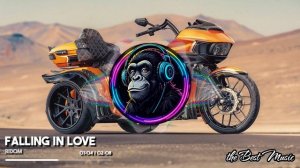 Falling In Love - Ridom