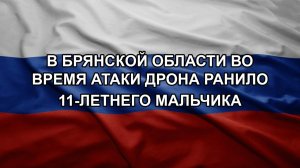 В Брянской области во время атаки дрона ранило 11-летнего мальчика