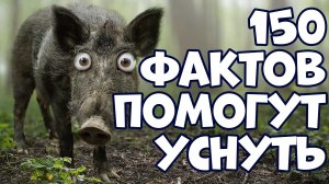 150 НЕОЖИДАННЫХ ФАКТОВ, КОТОРЫЕ ПОМОГУТ УСНУТЬ