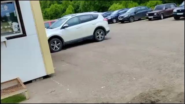 ООО «Мастер Гриб» Завод грибов ШАМПИНЬОНОВО (часть 2) 19.06.2026 г.Кондрово
