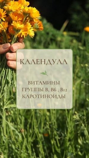 Фитоаптека для глаз #фитотерапия #травы #полезно #глаза #витамины