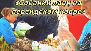 19-06-2026🐟 Красная рыба за 800: 🍽️ ужин без мужа 😔