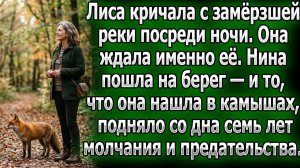 Крик лисы ночью привел Нину к берегу. Находка в камышах | Истории из жизни | Реальные истории