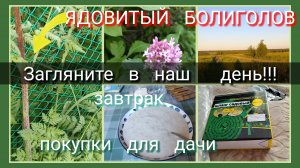 Загляните в наш  день//завтрак//покупки для дачи//ядовитый болиголов