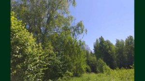 Деревня Матюши Плотникова