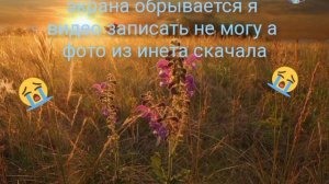 и что делать!?!?как мне для вас видео снимать теперь?!?