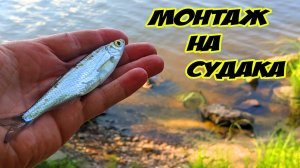 Лучший монтаж донки для судака своими руками!