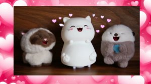 Игра смеяться - котёнок Сиам и выдра Ядра с новым другом японским котёнком