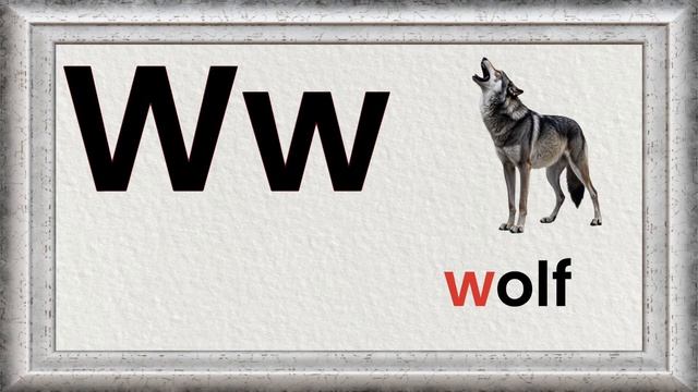 Ww Letter (ABC) - The Alphabet  // Phonics