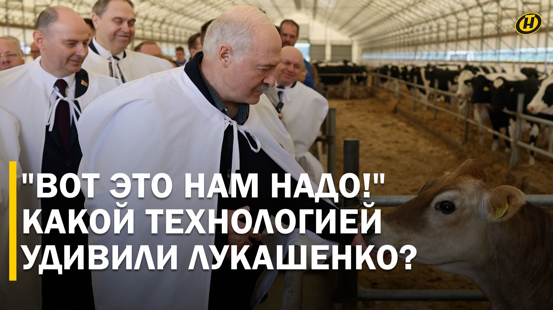 "Ты же зоотехник, вот такие коровы у тебя должны быть!" Лукашенко на "БелИнтерГене" подарили Мусю