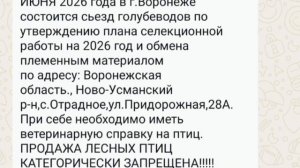 20.06.2026г Состоится Ярмарка Голубей г. Воронеж!!!