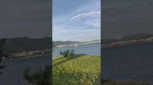 Привезла свою пушистую и бесконечную любовь в Геленджик😍❤️🌊🌴