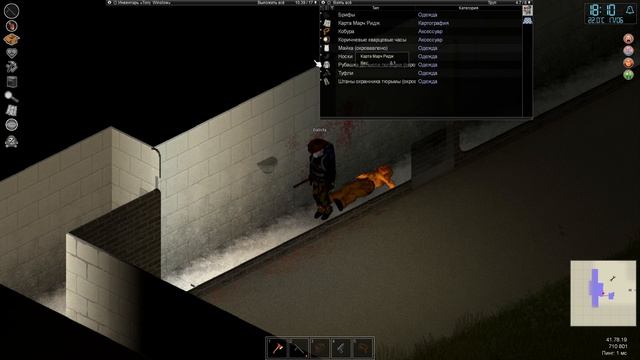 Project Zomboid (2)